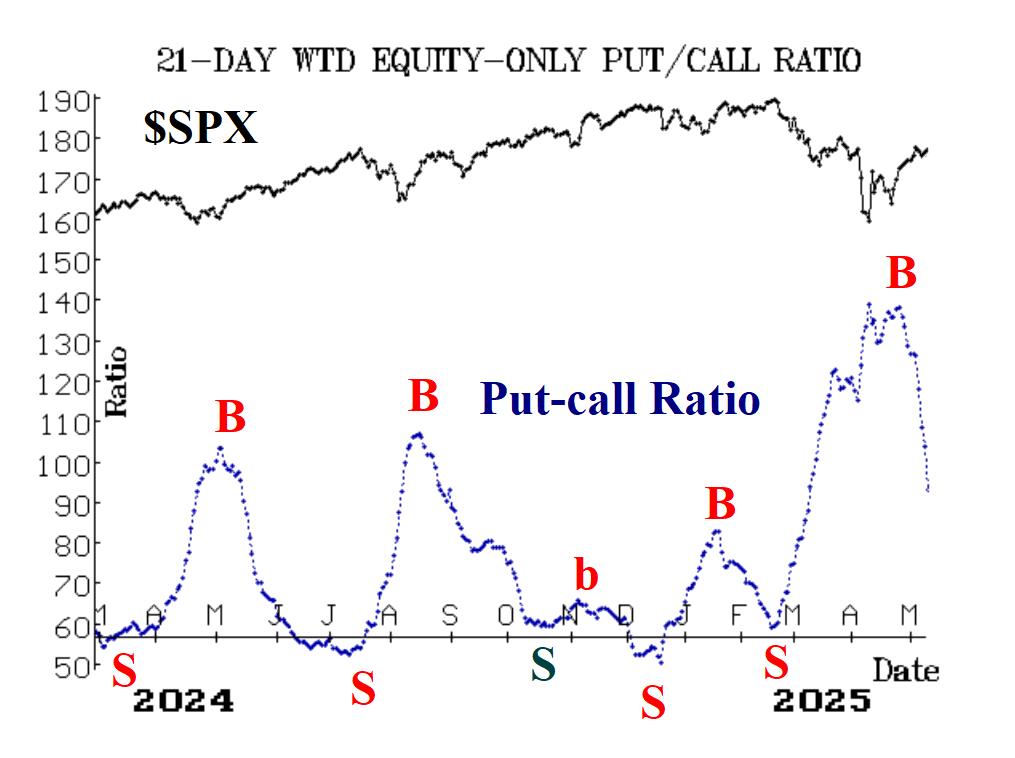 Dollar-Weighted Put-Call Ratio