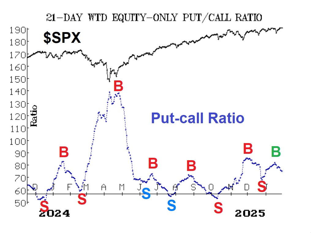 Dollar-Weighted Put-Call Ratio