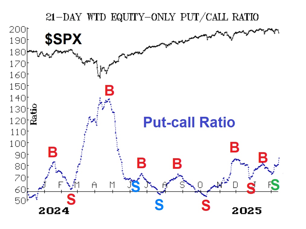 Dollar-Weighted Put-Call Ratio