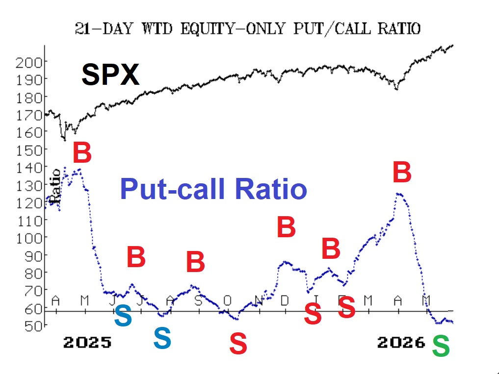 Dollar-Weighted Put-Call Ratio