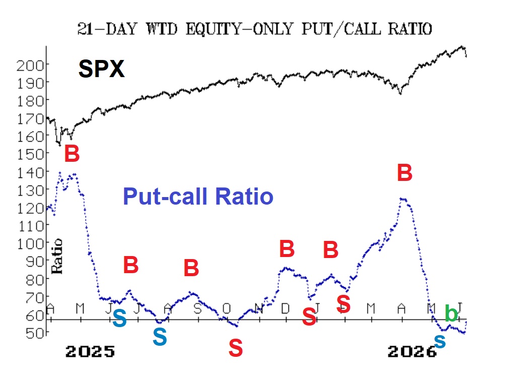 Dollar-Weighted Put-Call Ratio