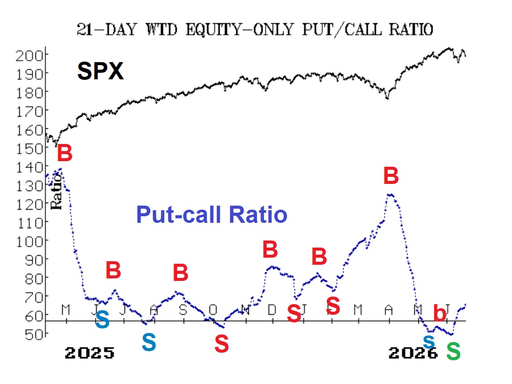 Dollar-Weighted Put-Call Ratio