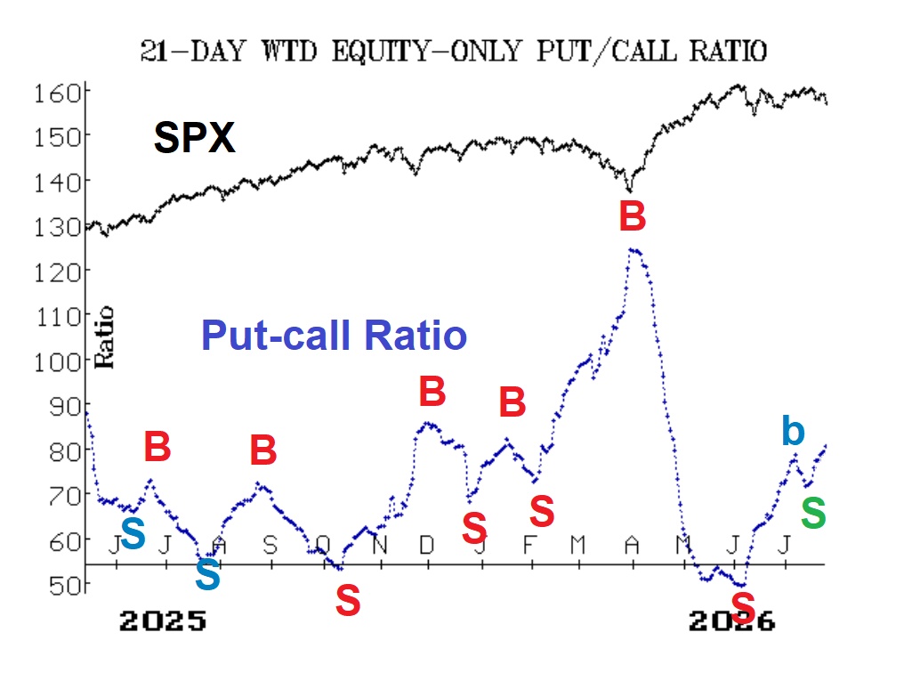 Dollar-Weighted Put-Call Ratio
