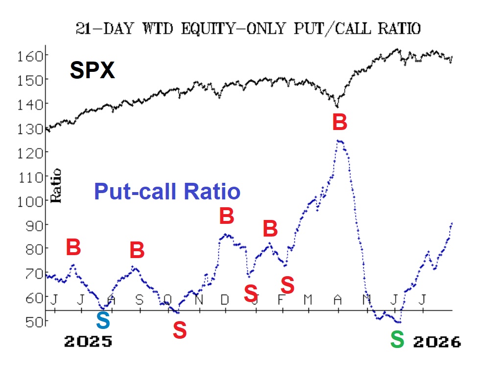 Dollar-Weighted Put-Call Ratio