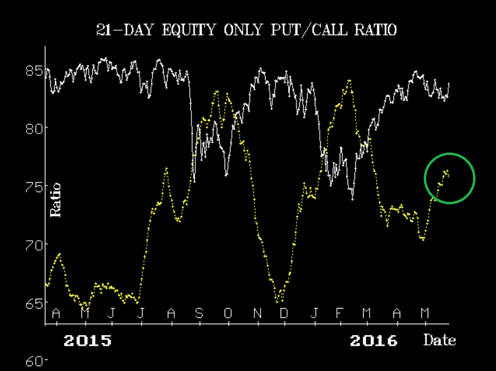 Equity Only Put Call Ratio