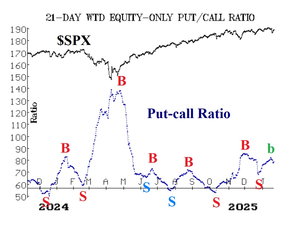 Dollar-Weighted Put-Call Ratio
