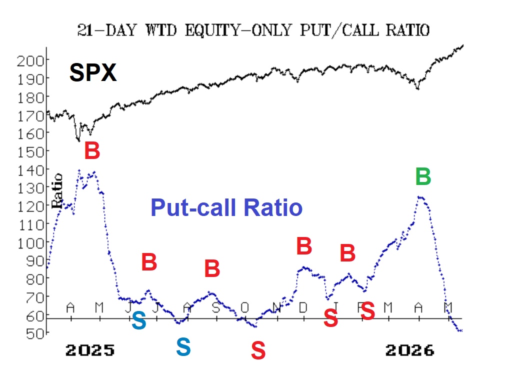 Dollar-Weighted Put-Call Ratio