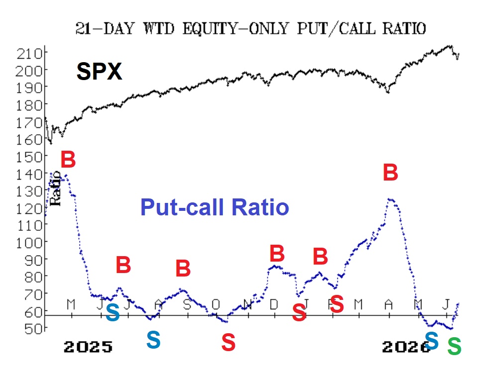 Dollar-Weighted Put-Call Ratio