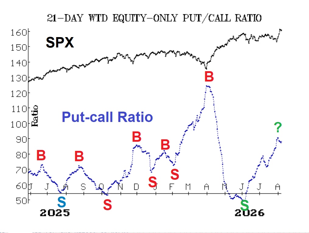 Dollar-Weighted Put-Call Ratio