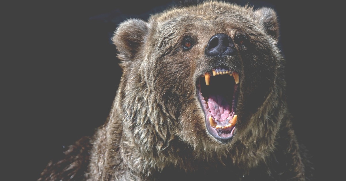 February Bear Market