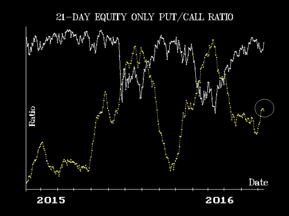 Standard Put-Call Ratio